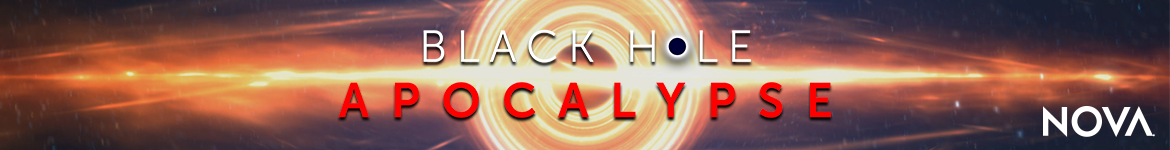 Black Hole Apocalypse