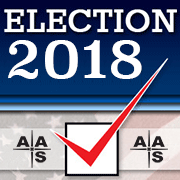 Vote in the 2018 AAS Election