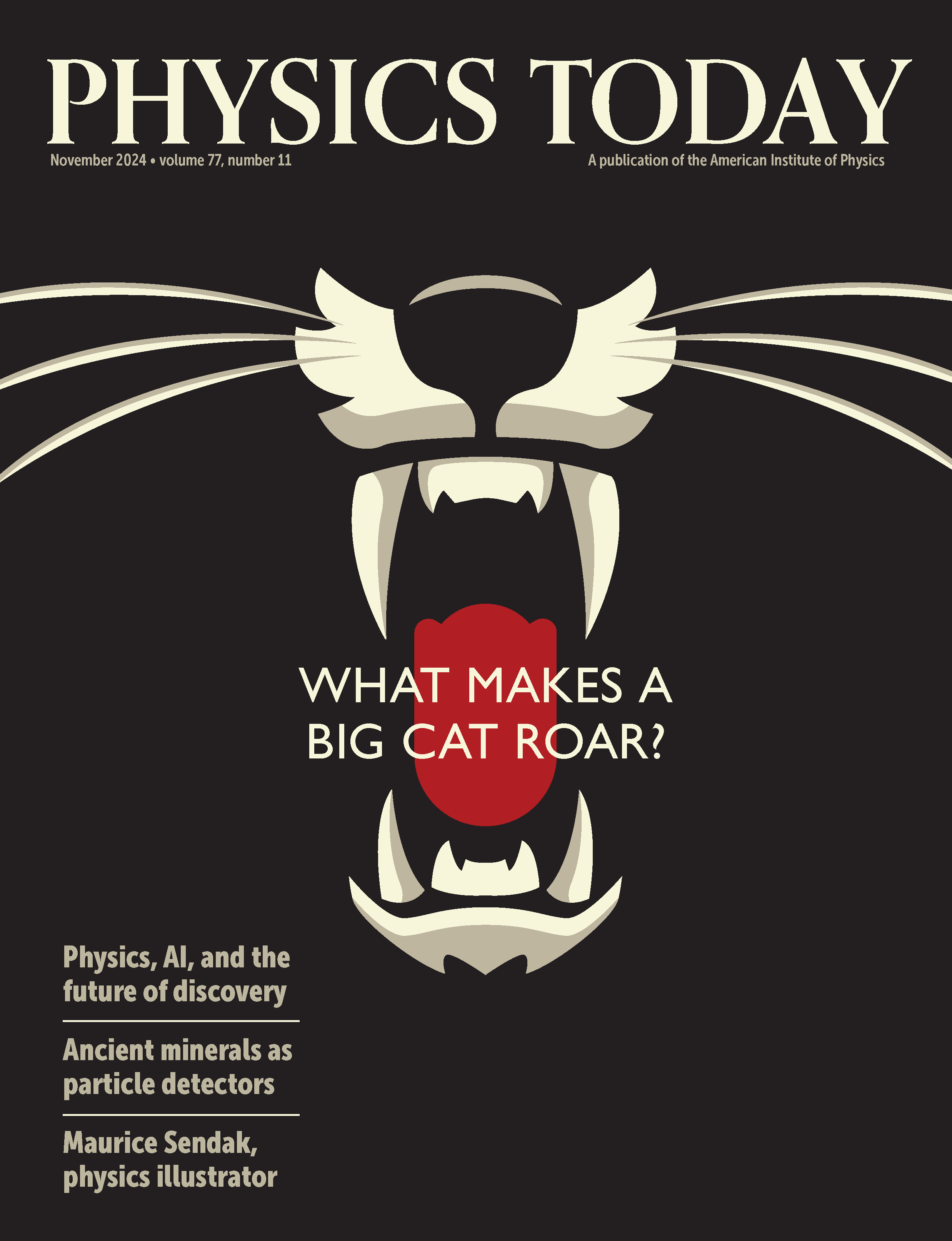 November 2024 Physics Today cover