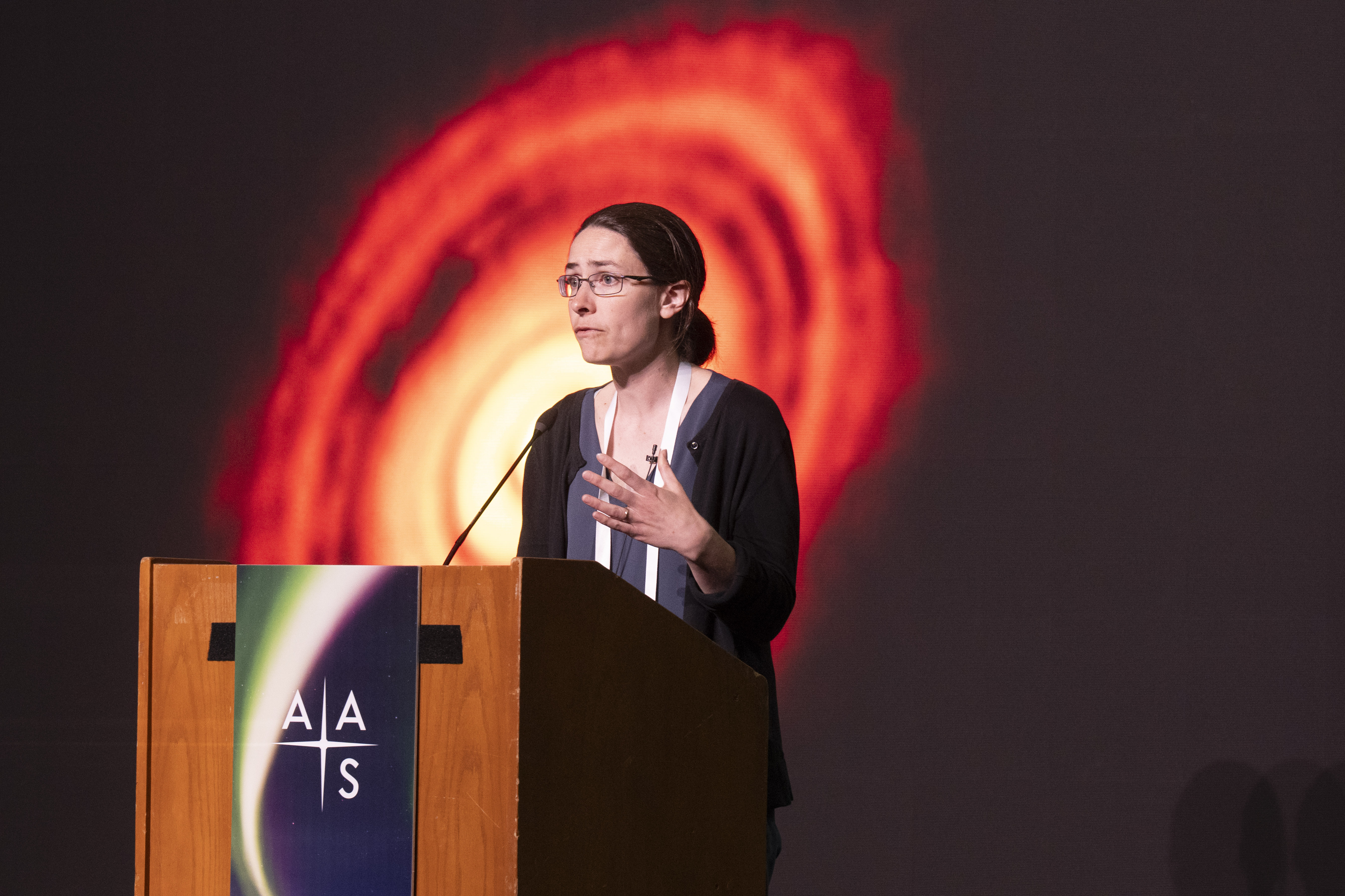 246th AAS Meeting Photos Online