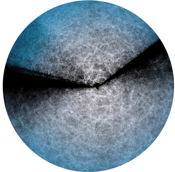 Dark Energy Spectroscopic Instrument (DESI) collaboration