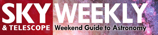 Sky Weekly Newsletter Banner