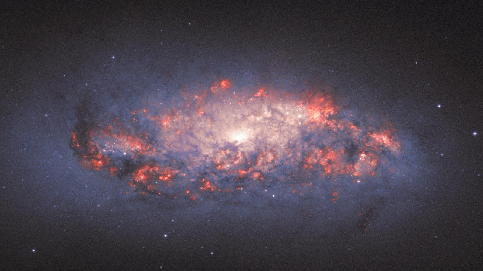dusty star-forming spiral galaxy