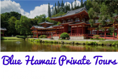 Blue Hawaiʻi Private Tours